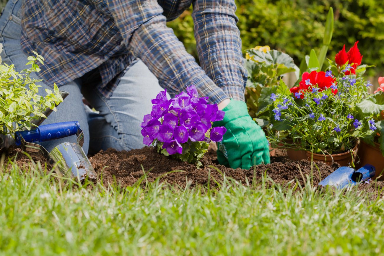 Garden Maintenance